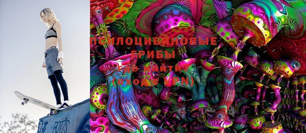 гидропоника Каменногорск
