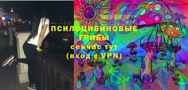 гидропоника Каменногорск