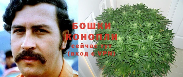 гидропоника Каменногорск