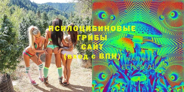 кокаин Каменка